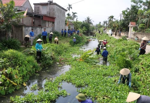 Thu dọn cỏ rác, khơi thông dòng chảy tại thôn Xuân Chiếng, xã Ngũ Phúc, huyện Kiến Thụy